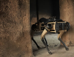 Yeni jenerasyon güvenlik: Polis baskınlarında kullanılan robot köpekler