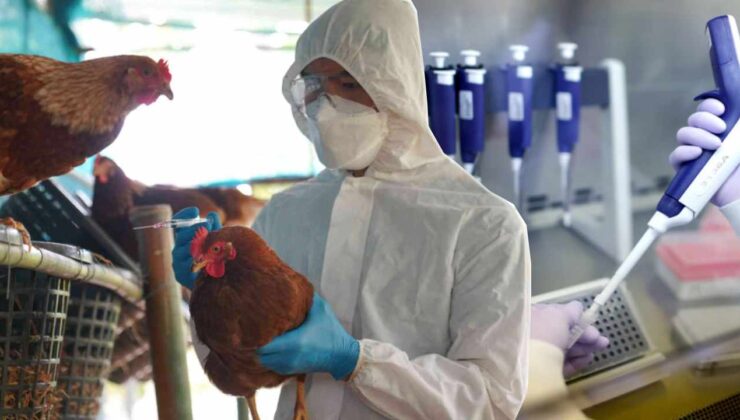 Kuş gribi beşerden beşere mı bulaşmaya başladı?
